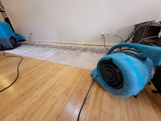Professional Sewage Cleanup technician working in Winona, OH